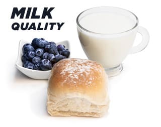 Milk protein content | Geneq