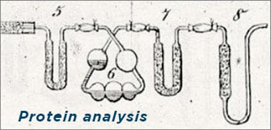 BIPEA sample fishmeal: