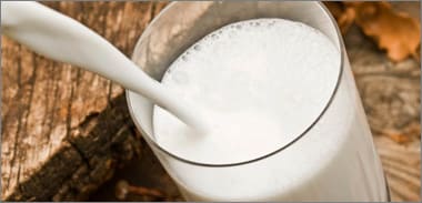Milk composition